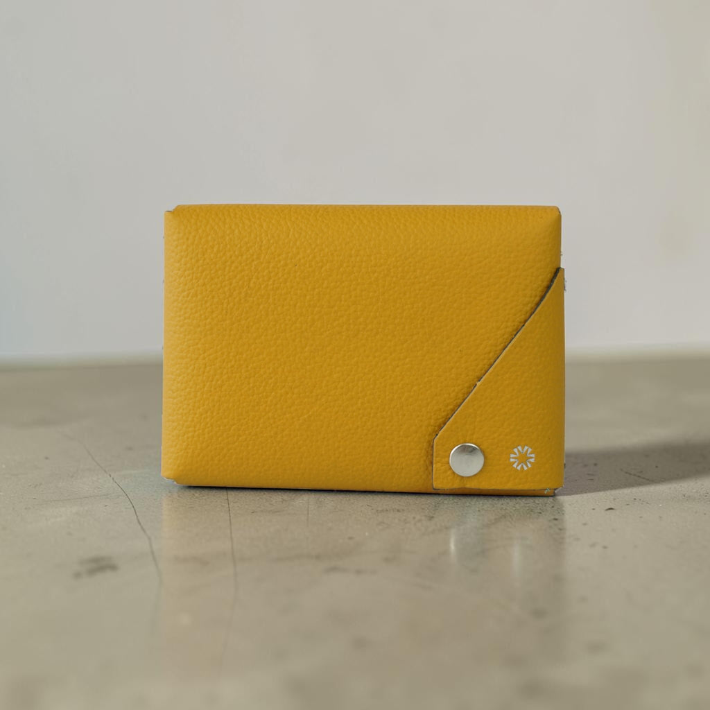 Fold Passport Sleeve