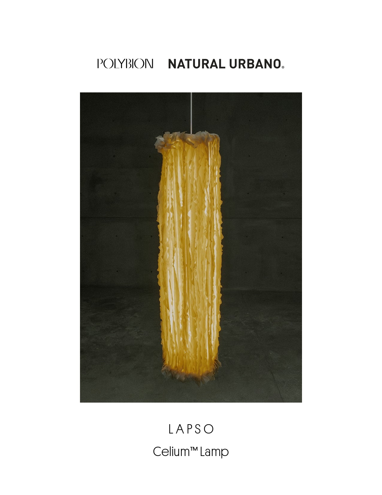 Lapso Made with Celium™