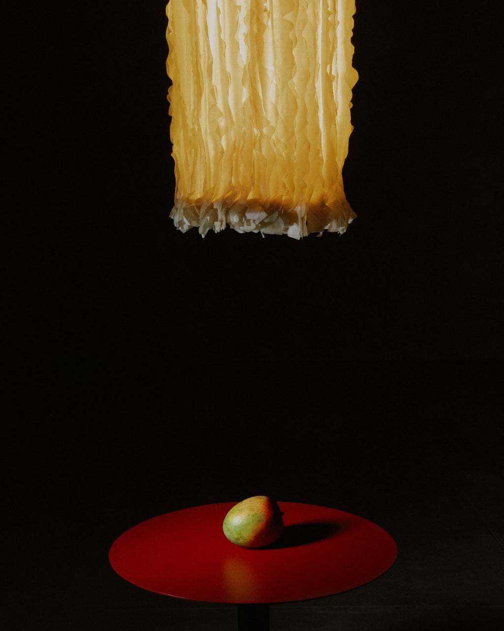 Lapso Made with Celium™